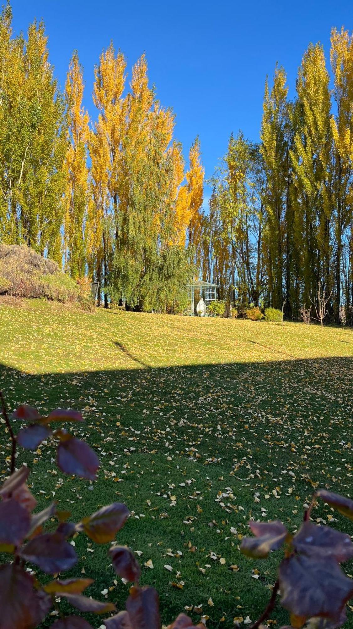 Los Ponchos Hotel El Calafate Esterno foto